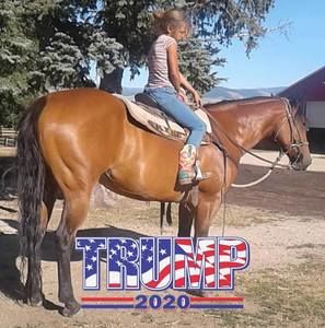 Meet your Posher, Rose